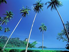 Pranang Beach, Krabi, Thailand